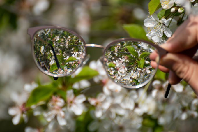 Szkła okularów wyostrzają obraz. W tle białe kwiaty. Wiosna. Kwitnące drzewa.